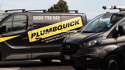 Professional Newlands Plumbers